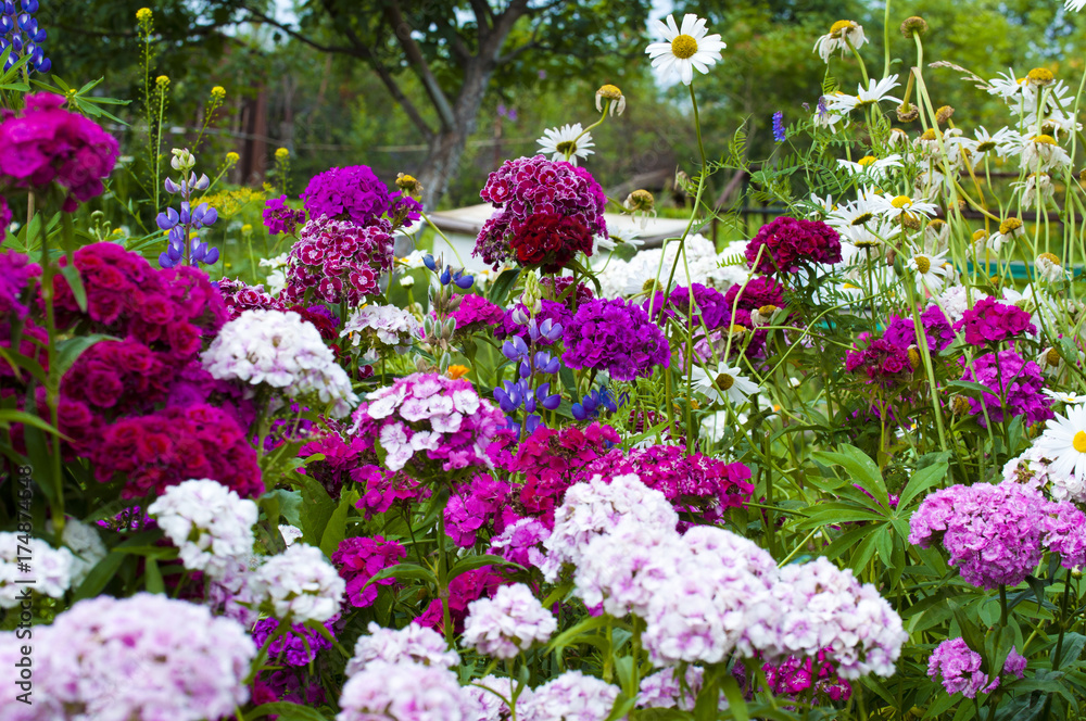 beautiful bouquet of colorful flowers