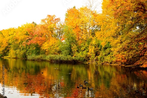 Park in autumn