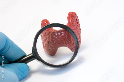 Obraz na plátně Search disease, abnormalities or pathology of thyroid gland concept photo