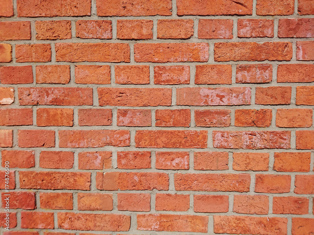 Fototapeta premium kolorowe ściany z cegły