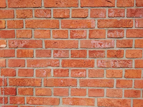 Obraz kolorowe ściany z cegły