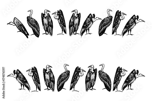 Hand drawn vultures