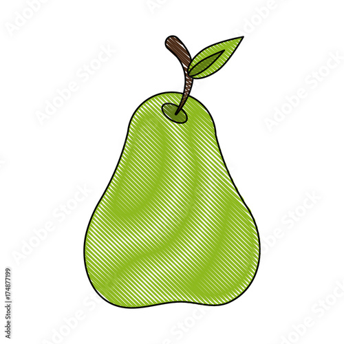 pear fruit icon image vector illustration design