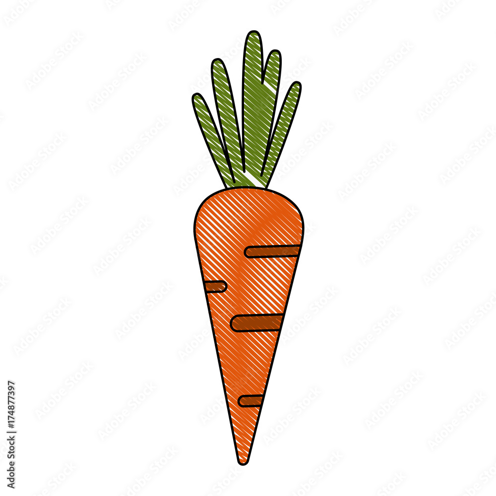carrot vegetable icon image vector illustration design carrot vegetable icon image vector illustration design