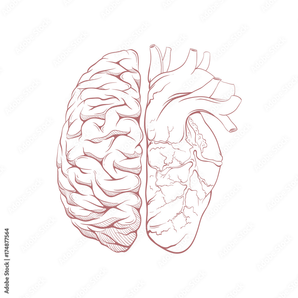 Fototapeta premium Versus human brain right and left hemisphere and heart illustration. Creative concept vector design.