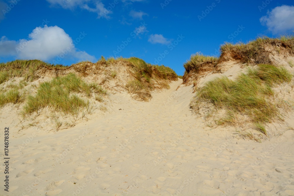 Landscape with sand dunes