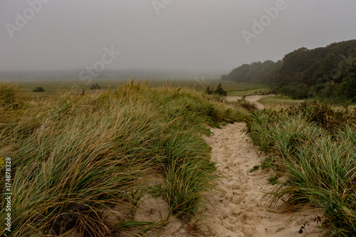 Canvas Print Dennis Dunes