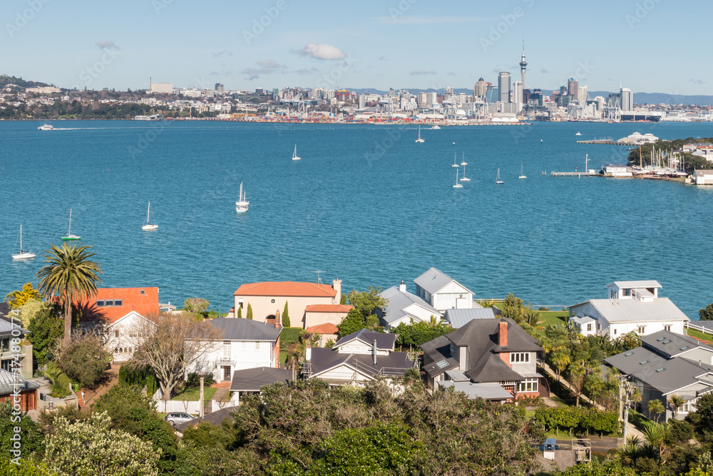 houses in Devonport suburb with Auckland CBD in background