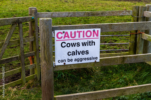 Sign Caution cows with calves can be aggressive.