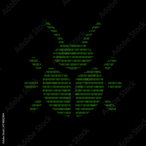 Hacker - 101011010 Icon - Marienkäfer