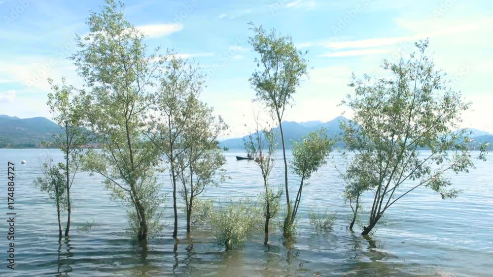 Trees on scenic background. Lake Maggiore and sky, summer. Trees on scenic background. Lake Maggiore and sky, summer.