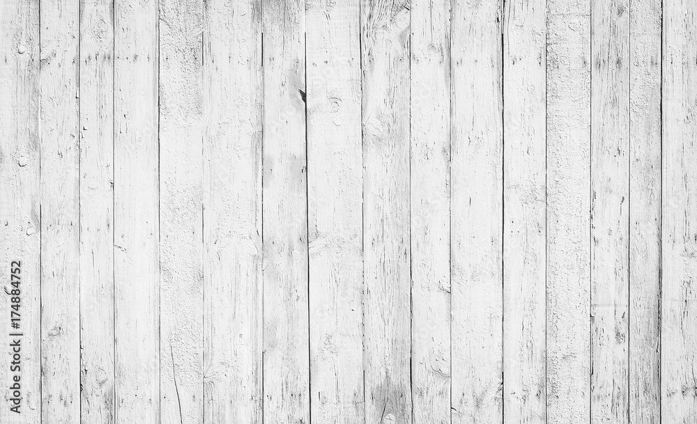 White texture of ash tree