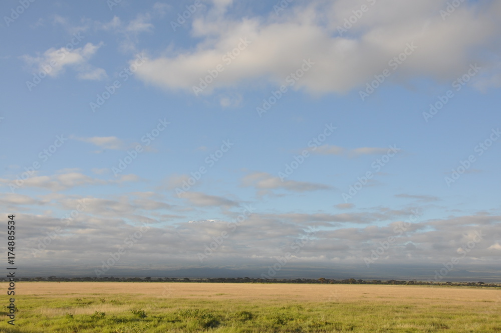 The African landscape. Kenya