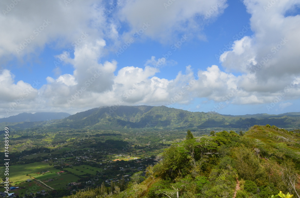 Kauai View