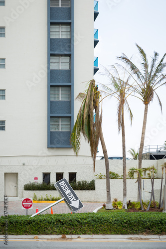 Damaged palm trees and road sign one way on one of the streets. After hurricane Irma. Trash and damaged objects in the city. photo