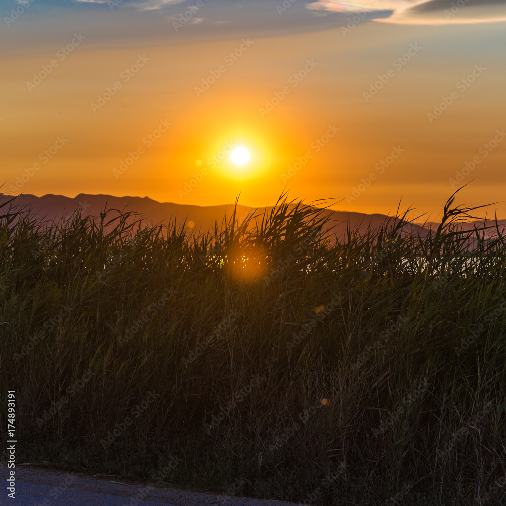 Sunset at the mouth of the Ebro Delta and wetlands, Tarragona, Catalonia, Spain. Copy space for text. Sunset at the mouth of the Ebro Delta and wetlands, Tarragona, Catalonia, Spain. Copy space for text.
