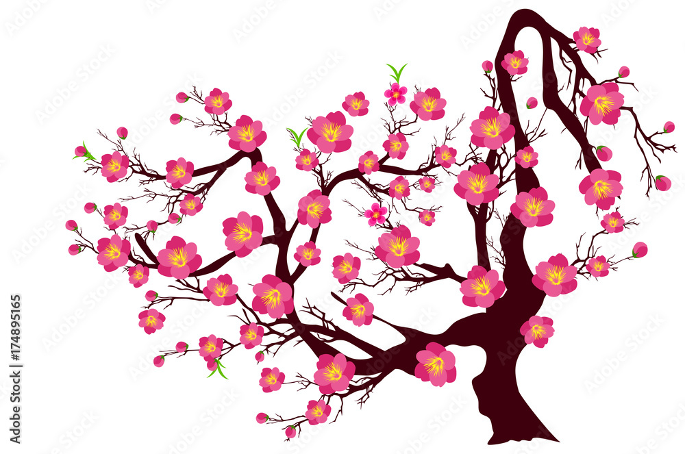 Fototapeta premium Vector Cherry blossom for Chinese New Year and lunar new year