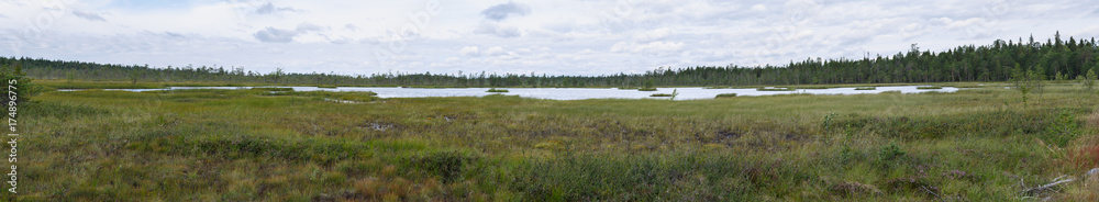 The swamp in the tundra in the North of the Kola Peninsula.