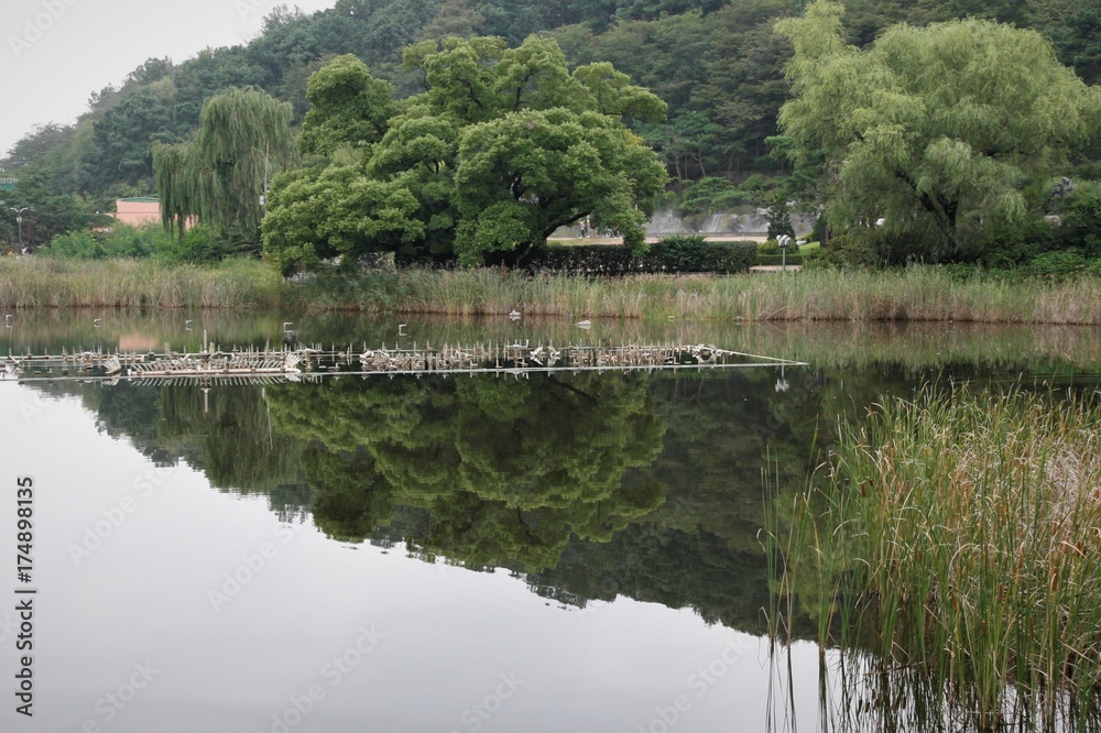 Seoul Borame Park landscape
