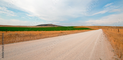 Dirt country road next to uncut Alfalfa field in Montana United States