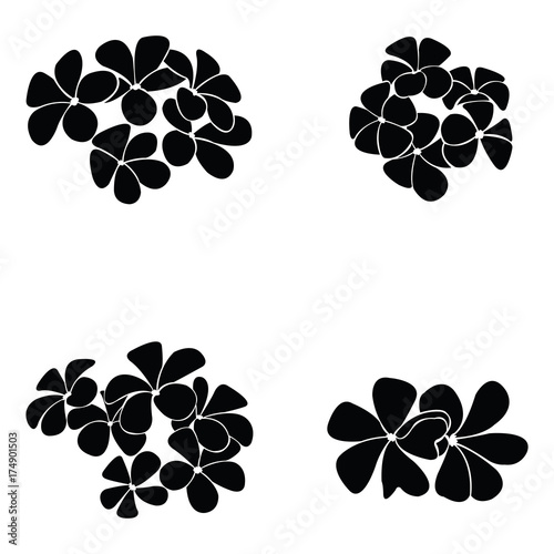 frangipani silhouette