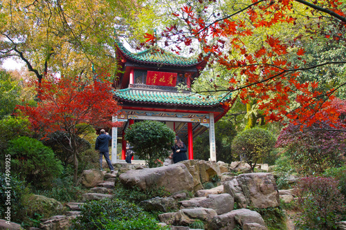 Chinese Buddhist Shrine