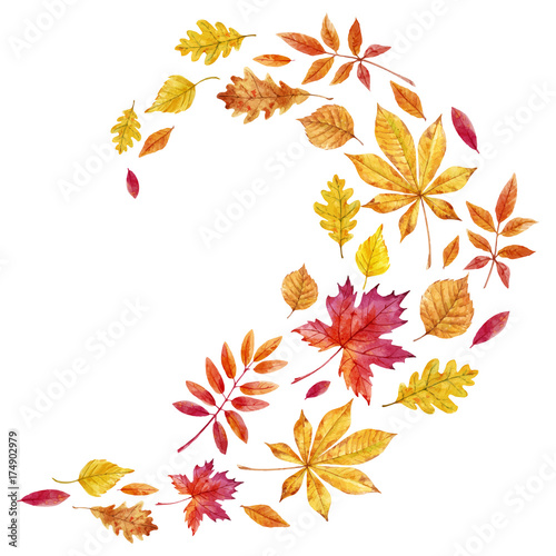 Watercolor fall leaves vector set