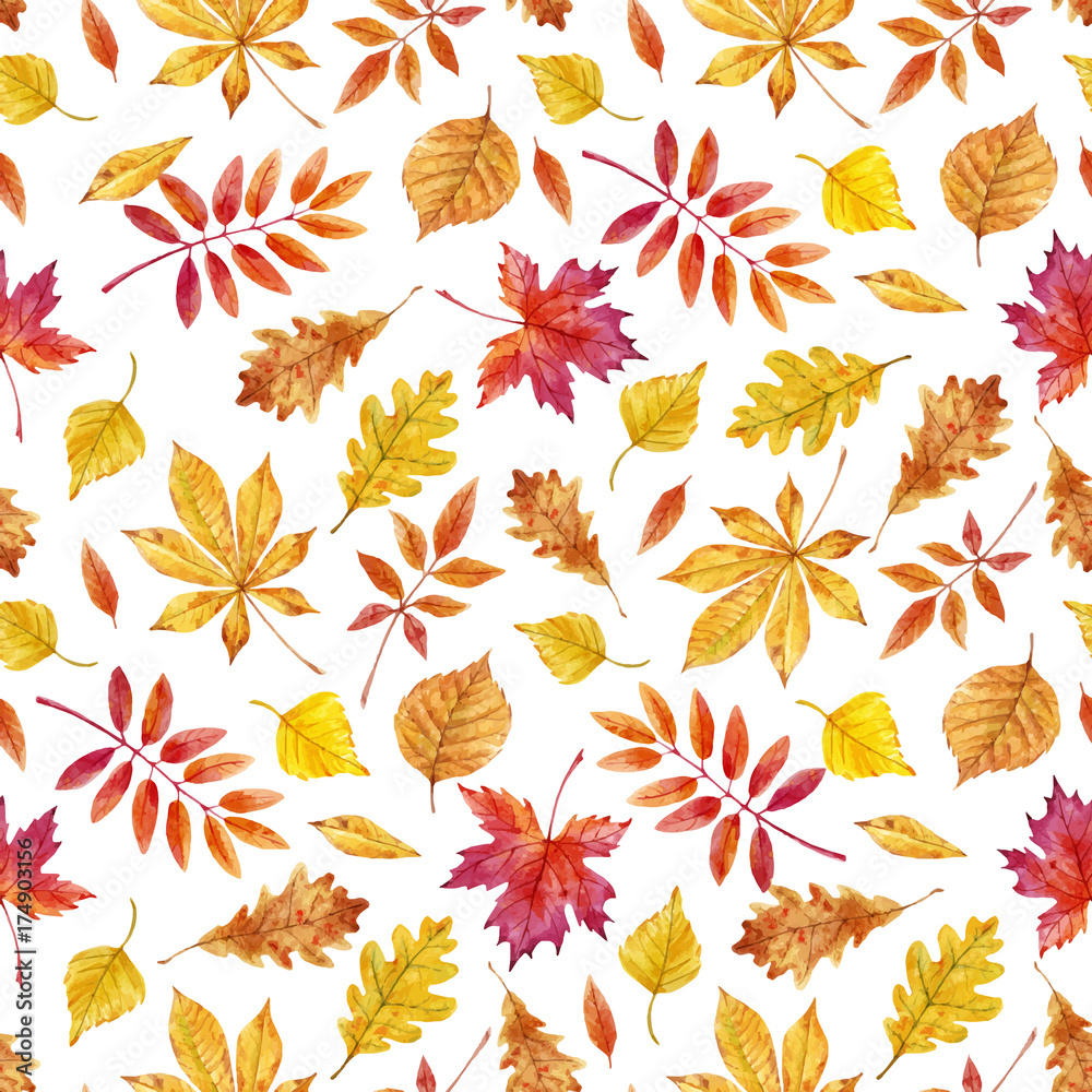 Fototapeta Watercolor autumn leaves vector pattern