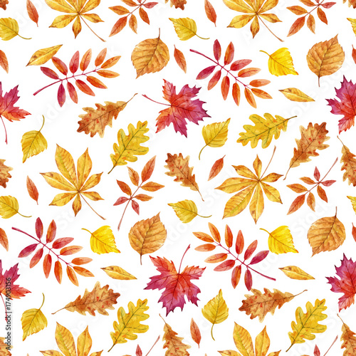 Fototapeta Watercolor autumn leaves vector pattern