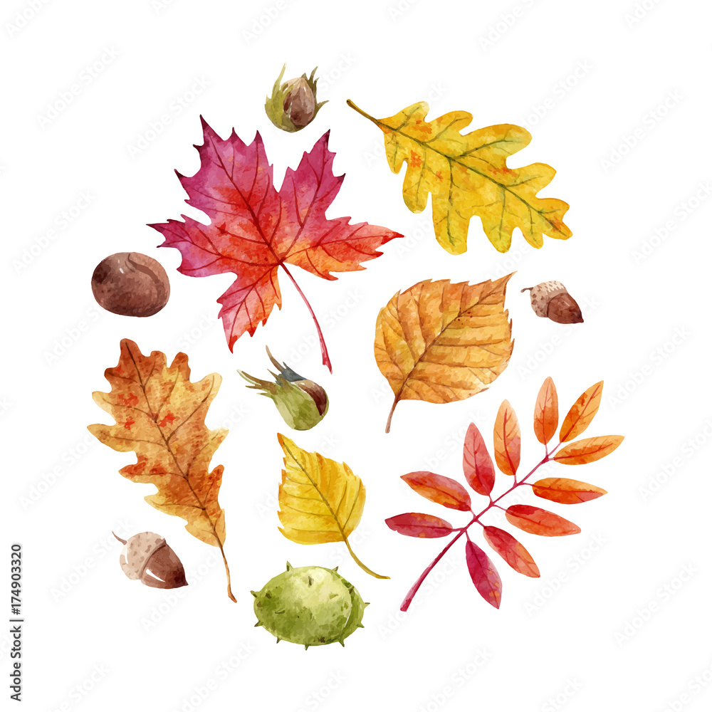Naklejka premium Upadek akwarela pozostawia wektor zestaw