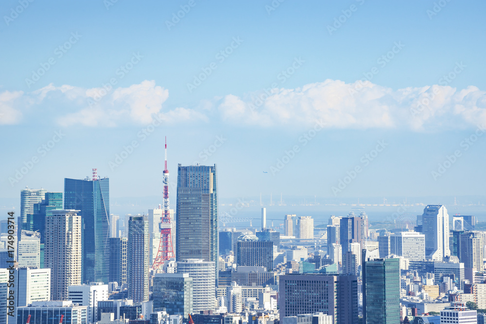 Cityscape of Tokyo, Japan, from the observation room of Tokyo metropolitan government building.
