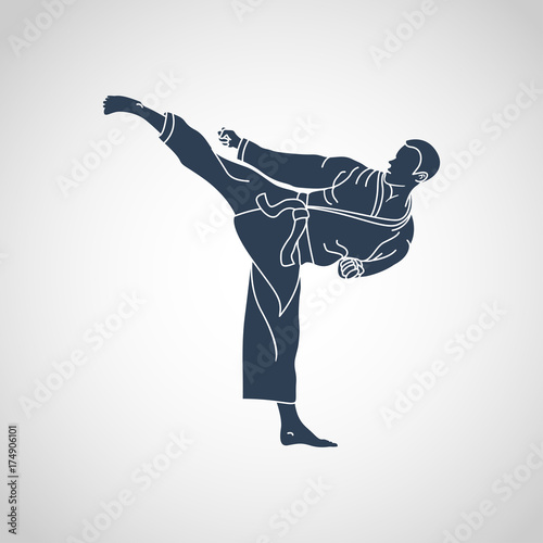 martial arts vector logo icon illustration