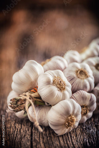Garlic. Garlic bulbs. Fresh garlic on rustic oak table.