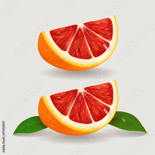 Slice of grapefruit realistic Vector illustration. photo