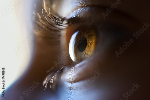 Close-up of beautiful little girl brown eye photo