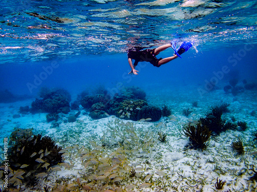 Underwater image of boy swimming with fish in Hol Chan Marine Reserve, Belize