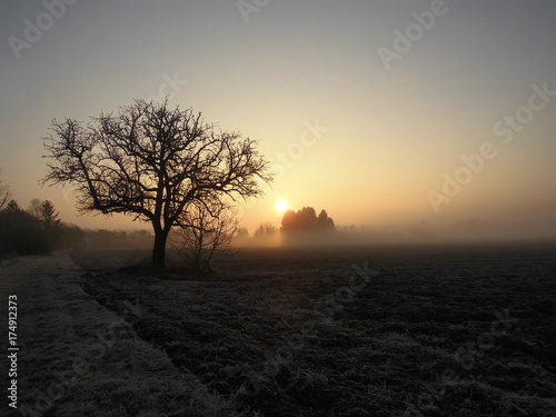 Winterlicher Sonnenaufgang