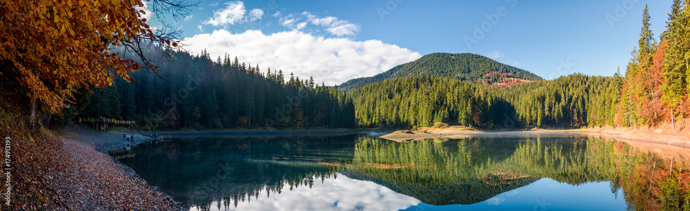 stunning panorama of mountain lake in autumn. Beautiful Scenery of high altitude Synevyr Lake among spruce forest, the most visited landmark in Ukrainian Carpathians.