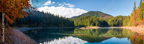 stunning panorama of mountain lake in autumn. Beautiful Scenery of high altitude Synevyr Lake among spruce forest  the most visited landmark in Ukrainian Carpathians.