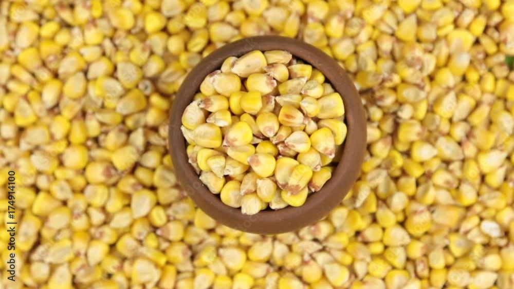 Rotation and approaching of corn in a clay pot, standing on the background of corn seeds. Rotation and approaching of corn in a clay pot, standing on the background of corn seeds.