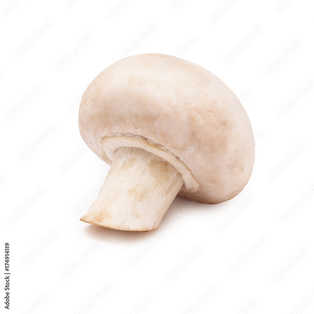 Champignon on an isolated white background Champignon on an isolated white background