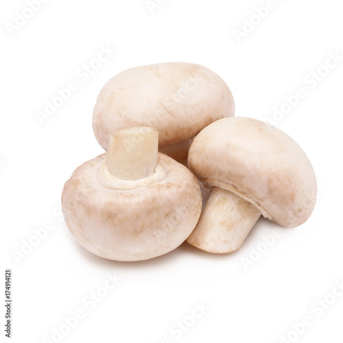 Champignon on an isolated white background 