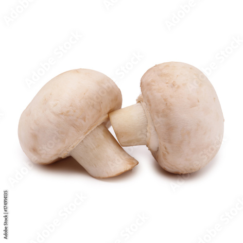 Champignon on an isolated white background 