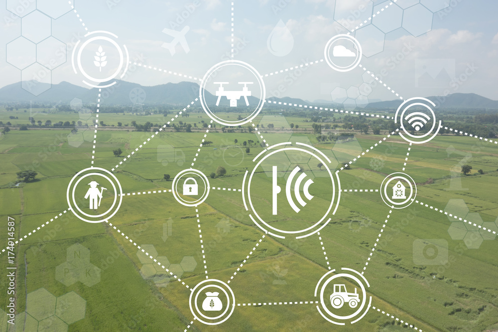 internet of things industrial agriculture,smart farming concepts,the various farm technology in the futuristic icon on the field background ict (information communication technology) - obrazy, fototapety, plakaty 