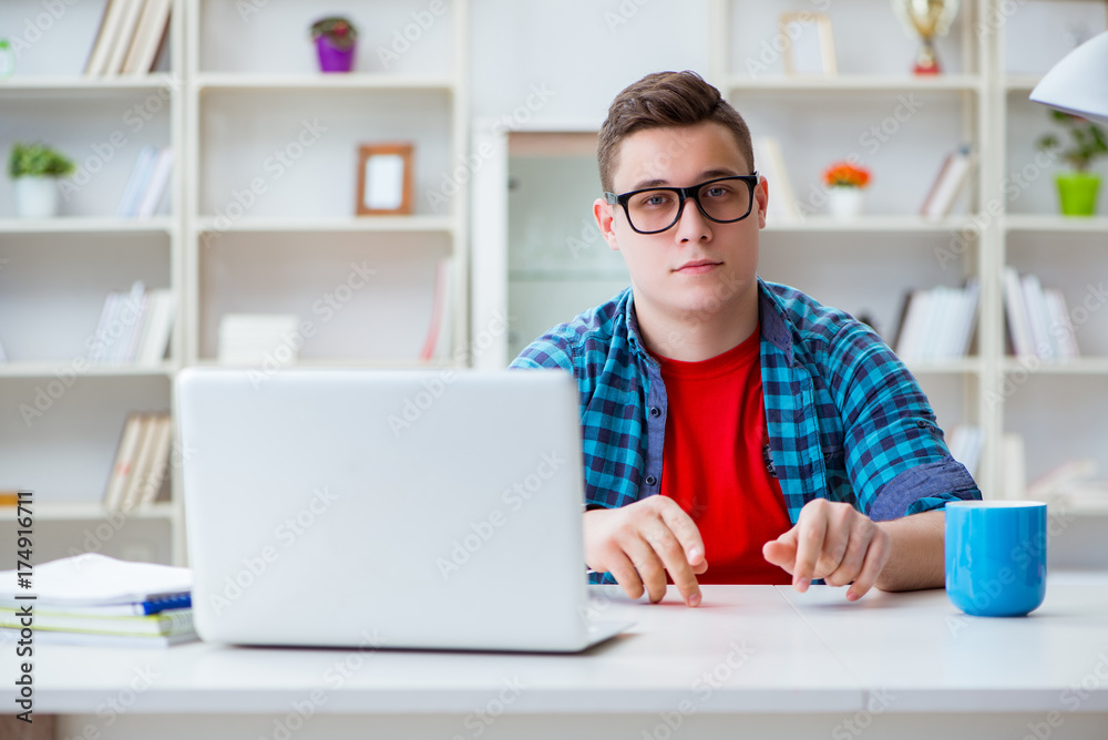 Young teenager preparing for exams studying at a desk indoors Young teenager preparing for exams studying at a desk indoors