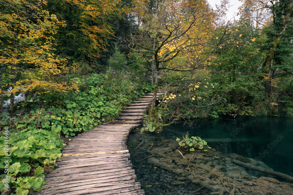Deep forest stream with crystal clear water with wooden pahway. Plitvice lakes, Croatia UNESCO world heritage site Deep forest stream with crystal clear water with wooden pahway. Plitvice lakes, Croatia UNESCO world heritage site