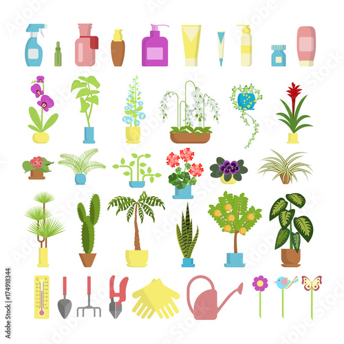 Window gardening infographic elements