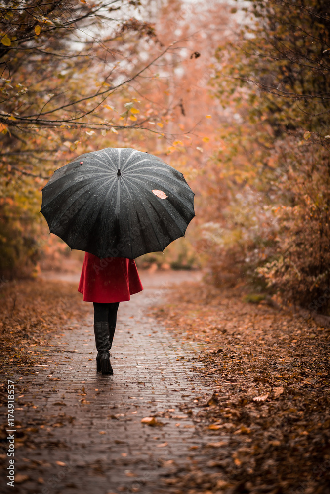 Fashionable girl with an umbrella in the rain walking along the autumn park  Stock Photo | Adobe Stock