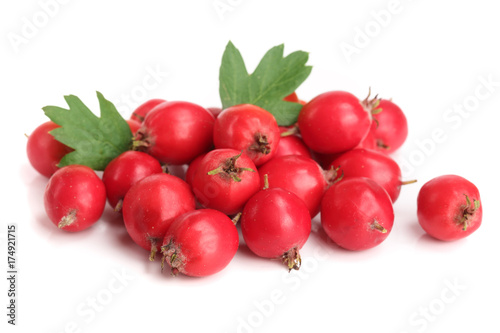 Hawthorn berry with leaf isolated on white background close-up