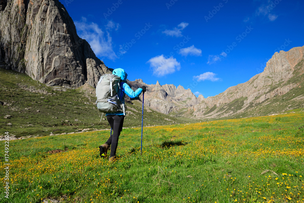 Young woman with backpack walking on flowering mountain
